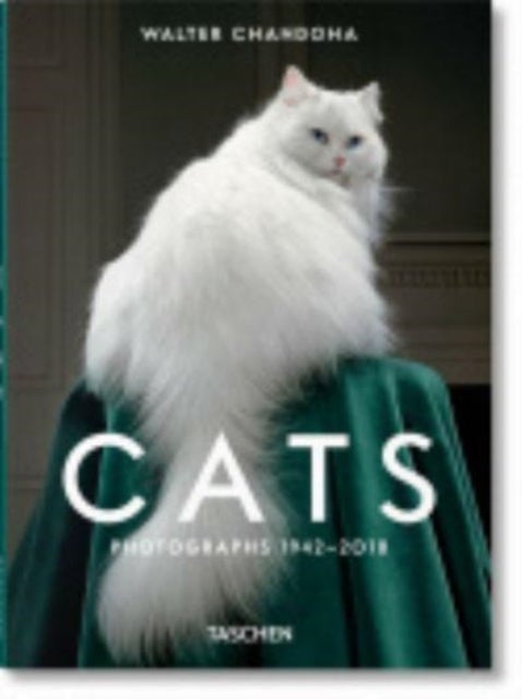 Walter Chandoha. Cats. Photographs 1942¿2018