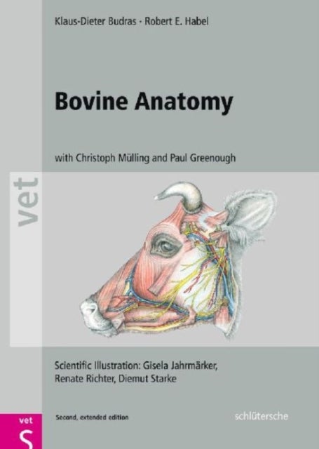 Bilde av Bovine Anatomy Av Klaus Dieter (university Of Berlin Germany) Budras, Robert E. Habel, Christoph K. W. (university Of Leipzig De) Mulling, Paul R. (un