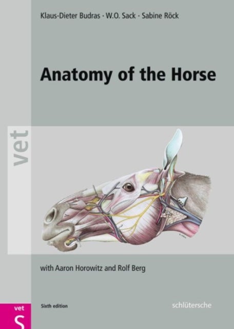 Bilde av Anatomy Of The Horse Av Klaus Dieter (university Of Berlin Germany) Budras, W. O. (cornell University Usa) Sack, Sabine (university Of Berlin Germany)