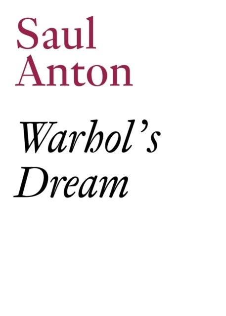 Warhol's Dream - Saul Anton