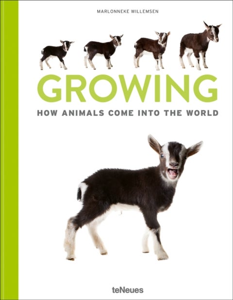Growing - How animals come into our world