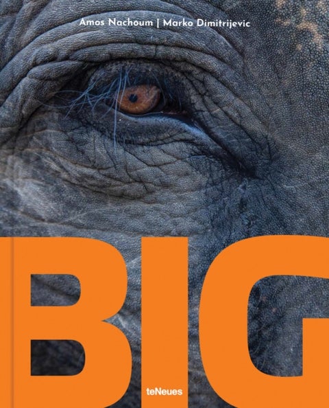 Big - A Photographic Album of the World's Largest Animals
