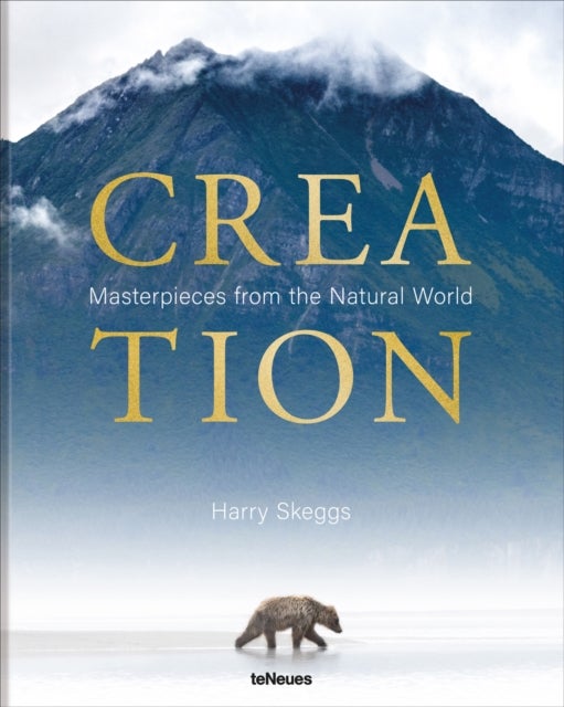 Creation - Masterpieces from the Natural World