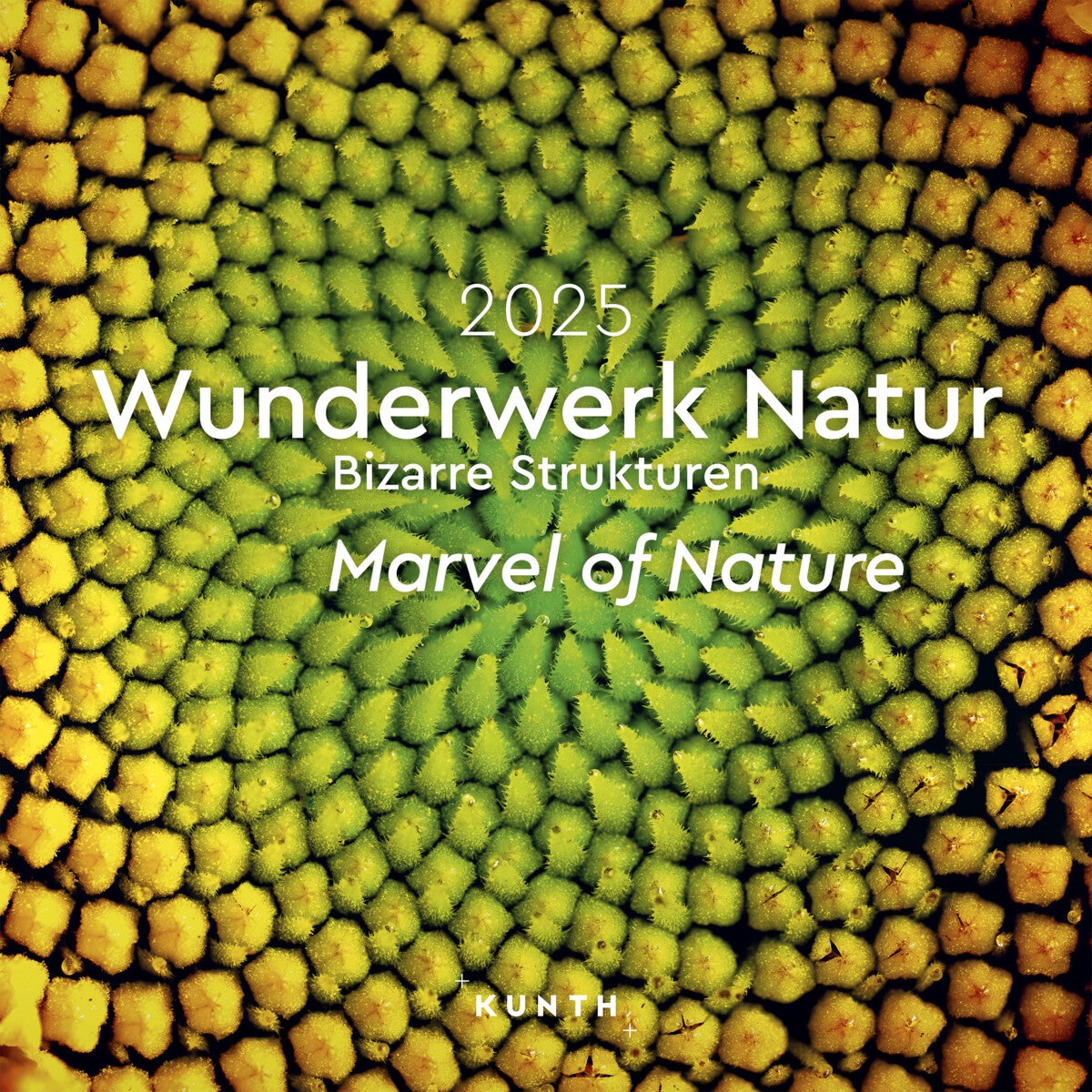Kalender 2025 Marvel of Nature 30x30cm