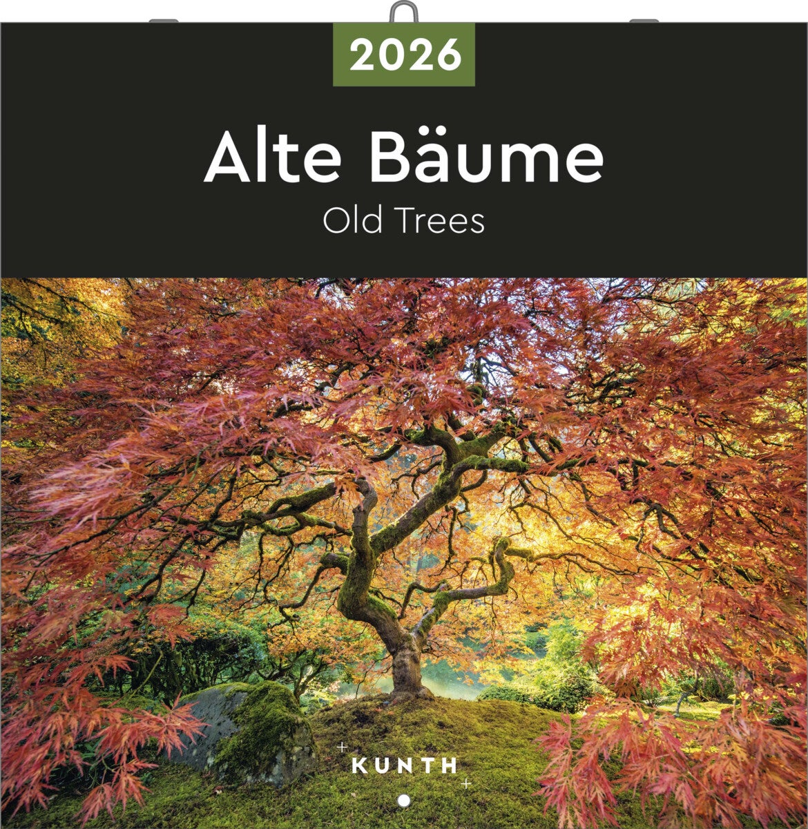Kalender 2026 30x30 Old Trees