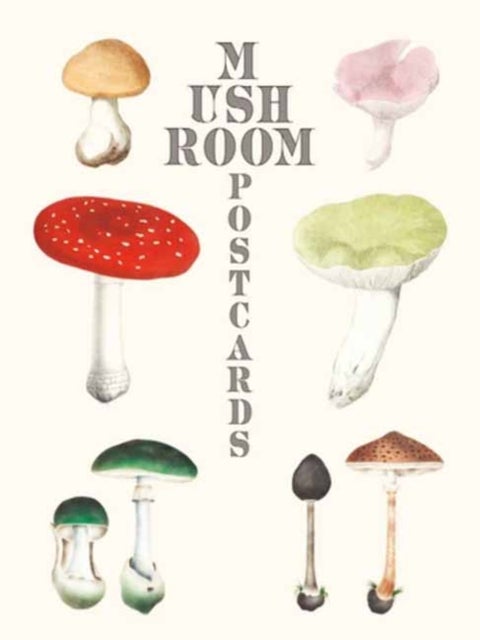 Bilde av Mushroom Postcards