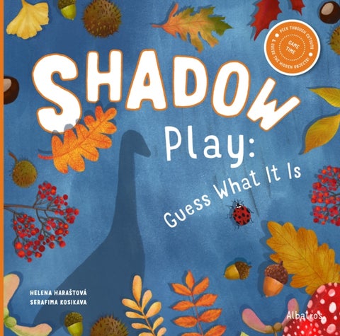 Shadow Play - Guess What It Is