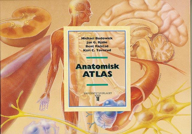 Bilde av Anatomisk Atlas Av Jan G. Bjålie, Michael Budowick, Bent Rolstad, Kari C. Toverud