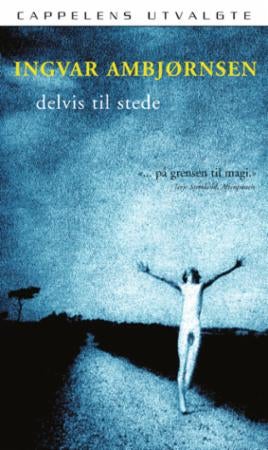 Delvis til stede - noveller