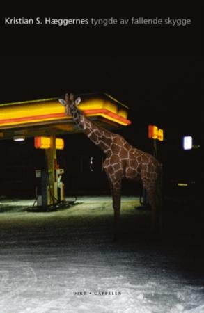 Tyngde av fallende skygge - dikt