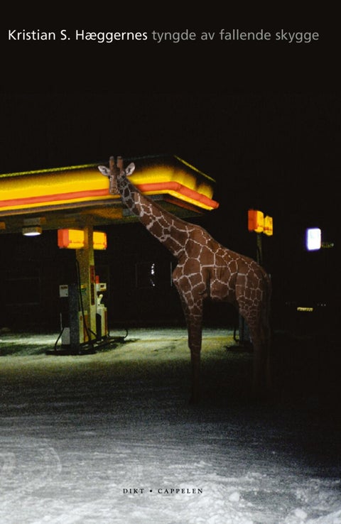 Tyngde av fallende skygge - dikt