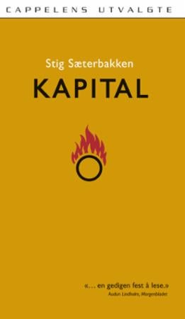 Kapital - roman