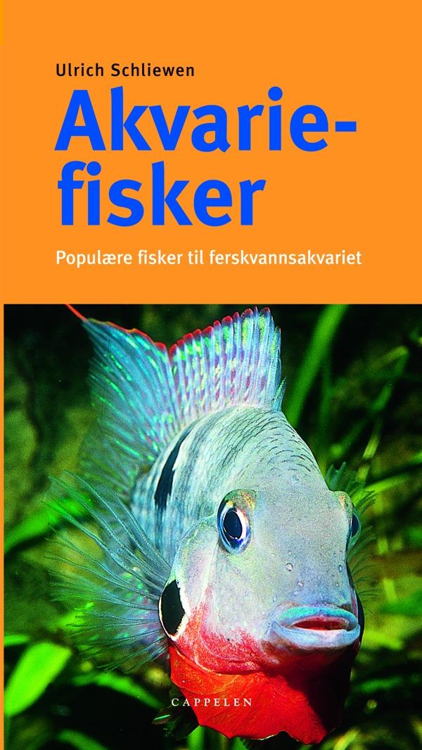 Akvariefisker - populære fisker til fersvannsakvariet