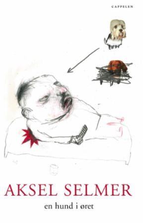 En hund i øret - roman