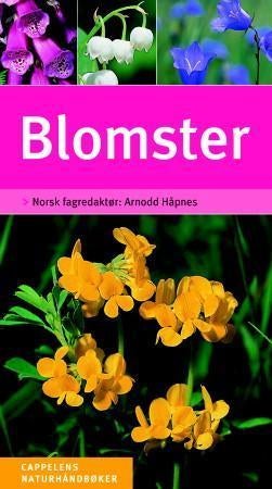Blomster - enkel og sikker artsbestemmelse