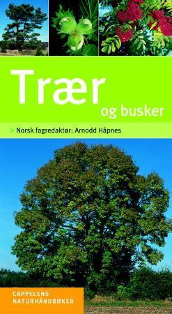 Trær og busker - enkel og sikker bestemmelse