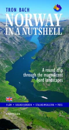 book cover thumbnail