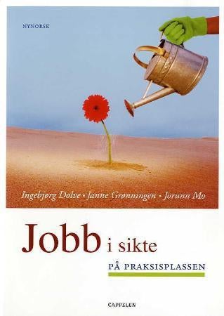 Jobb i sikte - på praksisplassen