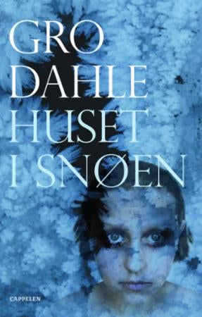 Huset i snøen - roman