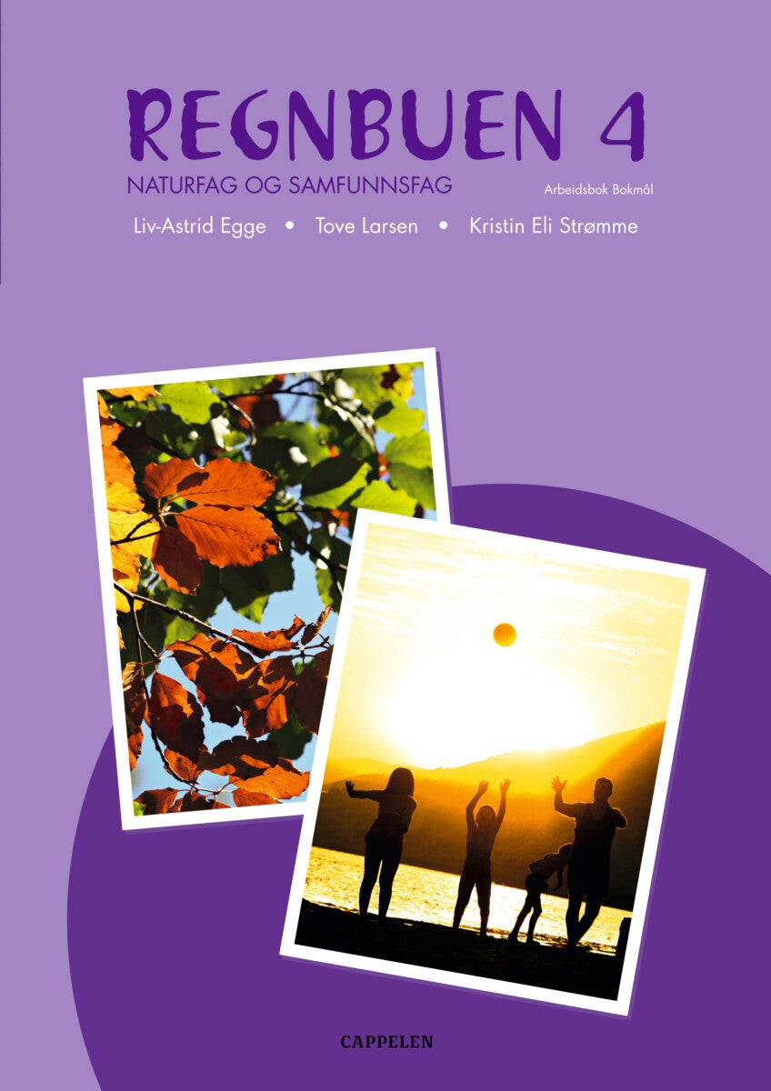Regnbuen ny utgave 4 - arbeidsbok : naturfag og samfunnsfag