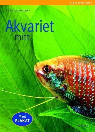 Akvariet mitt