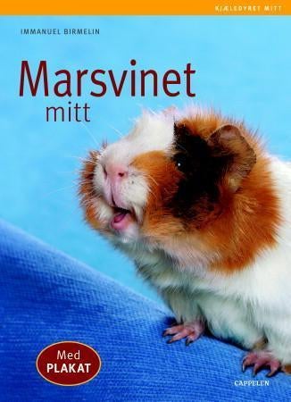 Marsvinet mitt