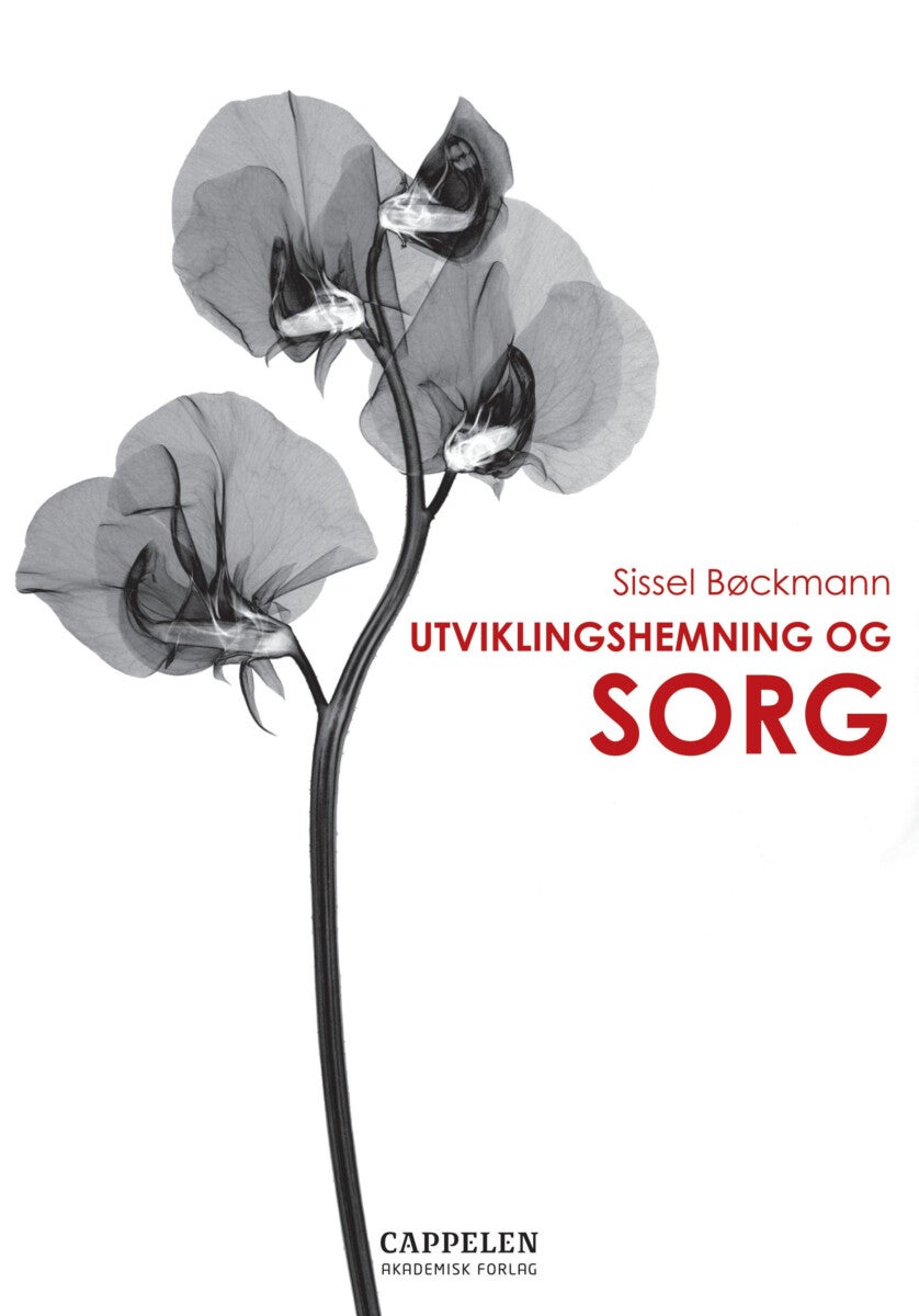 Utviklingshemning og sorg