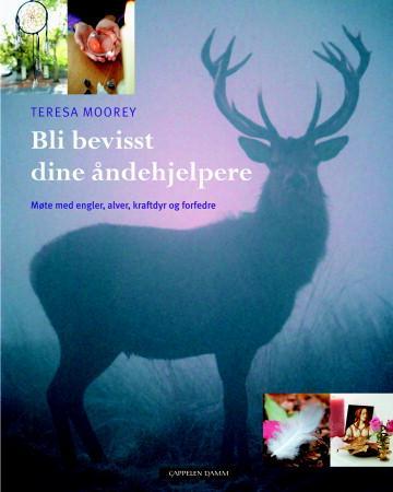 Bli bevisst dine åndehjelpere - møte med engler, alver, kraftdyr og forfedre