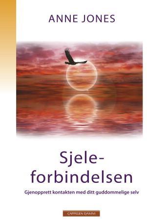 Sjeleforbindelsen - gjenopprett kontakten med ditt guddommelige selv