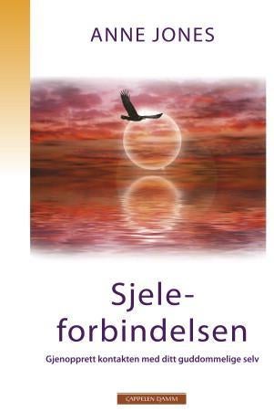 Sjeleforbindelsen - gjenopprett kontakten med ditt guddommelige selv