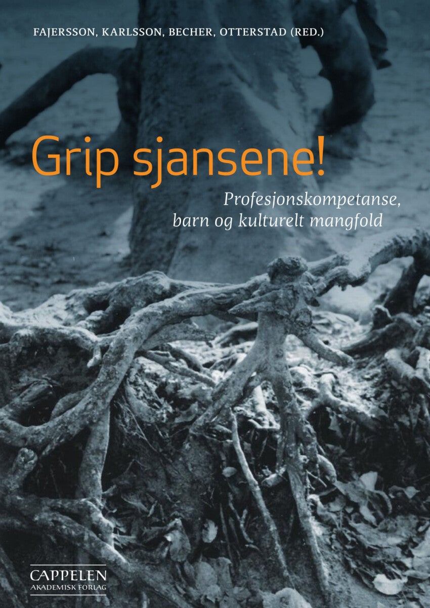 Grip sjansene! - profesjonskompetanse, barn og kulturelt mangfold