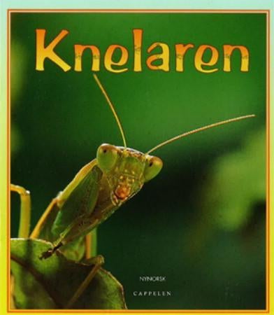 Simsalabim - vi les! - blå : (pakke med 3 eks. av 20 småbøker)