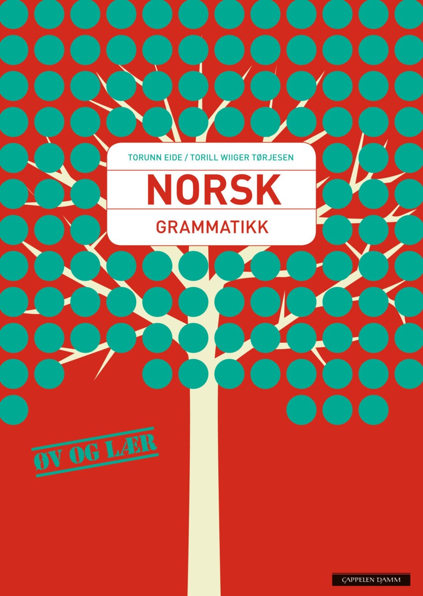 Norsk grammatikk