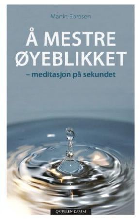 Å mestre øyeblikket - meditasjon på sekundet