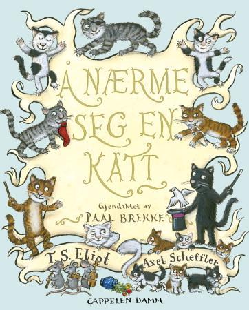Å nærme seg en katt