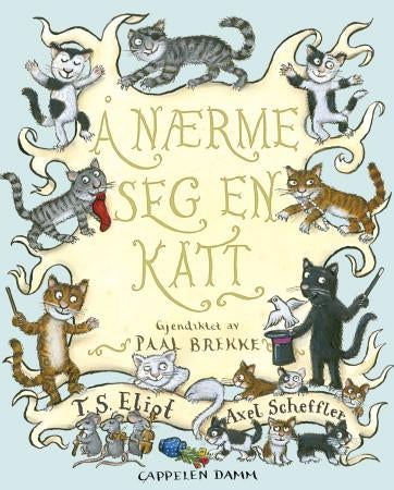 Å nærme seg en katt