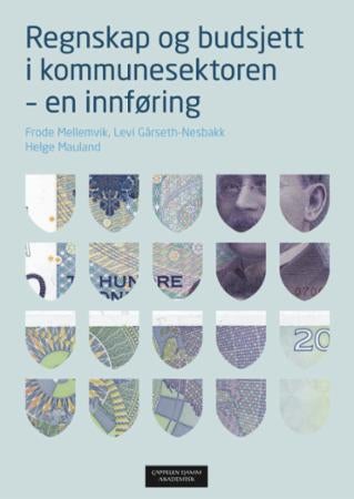 Regnskap og budsjett i kommunesektoren - en innføring