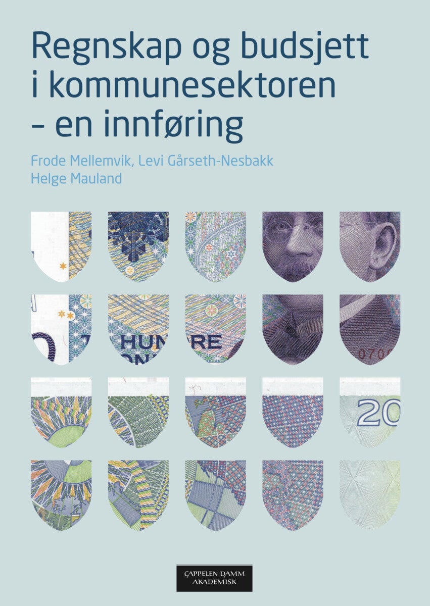 Regnskap og budsjett i kommunesektoren - en innføring