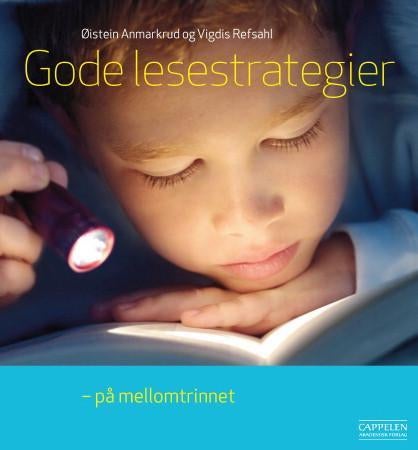 Gode lesestrategier - på mellomtrinnet