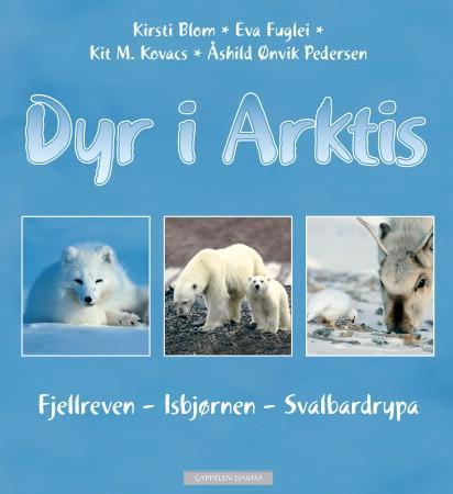 Dyr i Arktis - fjellreven, isbjørnen, svalbardrypa