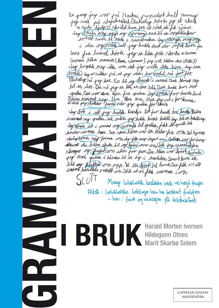 Grammatikken i bruk