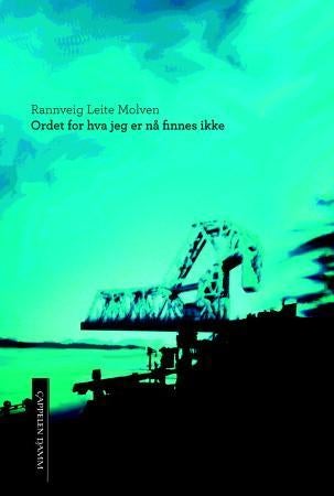Ordet for hva jeg er nå finnes ikke - roman