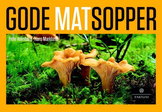 book cover thumbnail