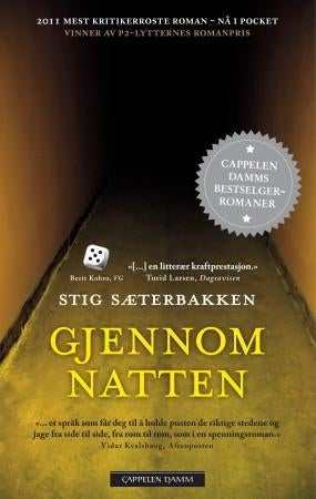 Gjennom natten - roman