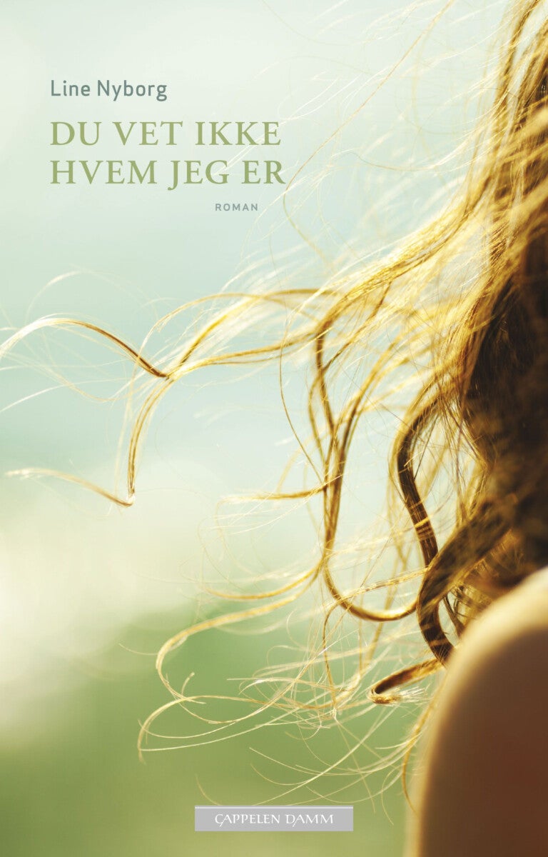 Du vet ikke hvem jeg er - roman