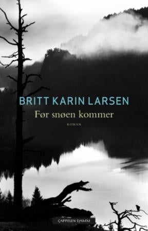 Før snøen kommer - roman