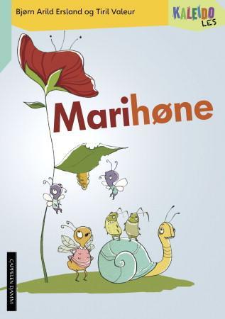 Kaleido les - nivå 3 : marihøne