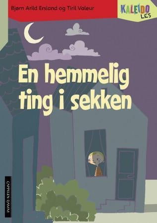 Kaleido les - nivå 4 : en hemmelig ting i sekken