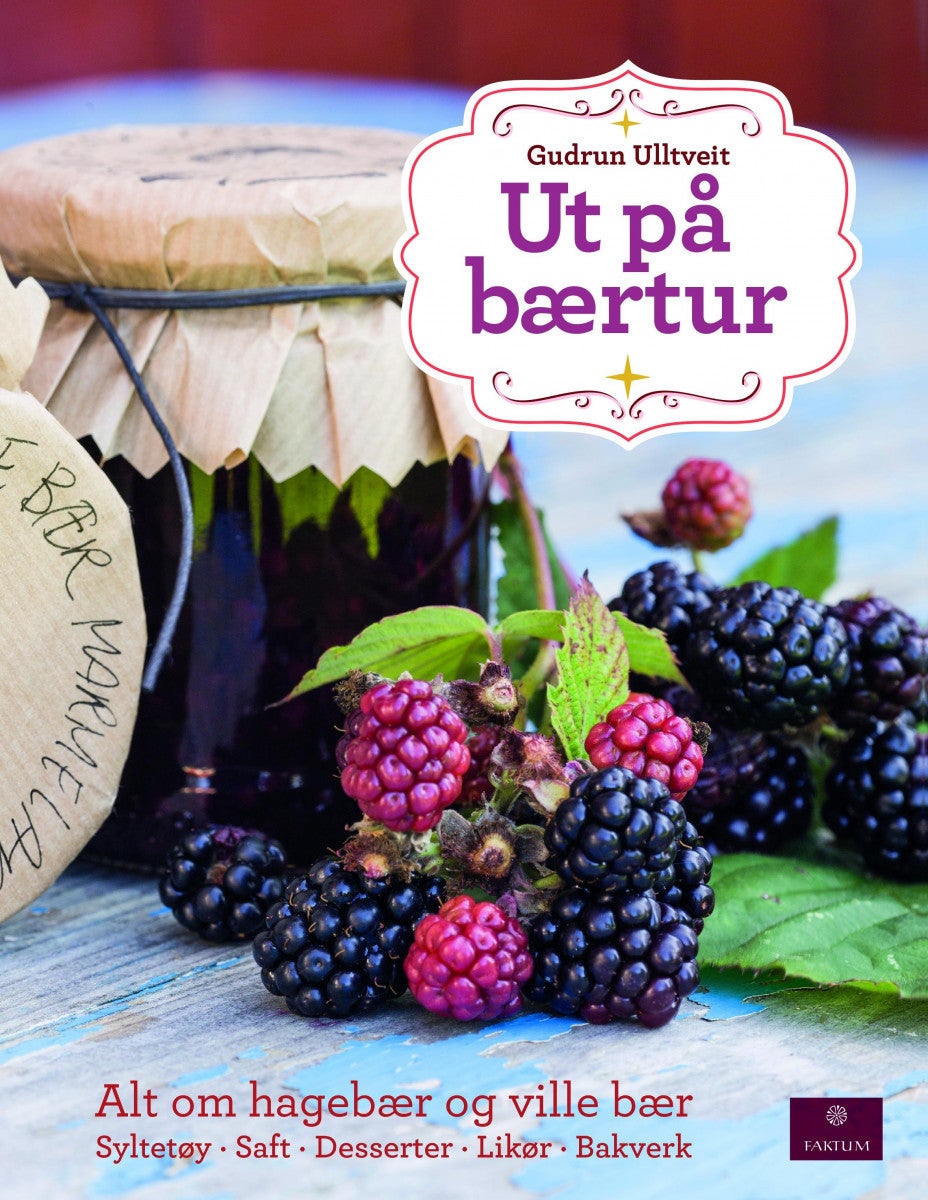 Ut på bærtur - alt om hagebær og ville bær