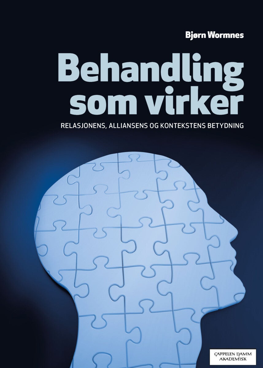 Behandling som virker - relasjonens, alliansens og kontekstens betydning